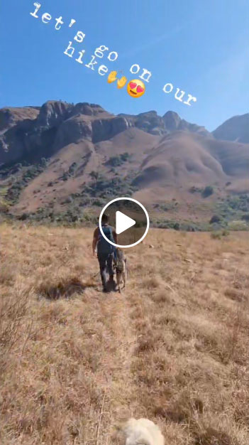 video link