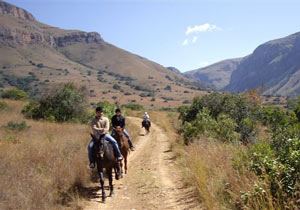 Horse Riding