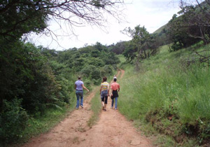 Hiking