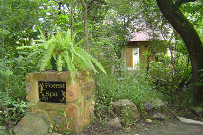 Forest Spa