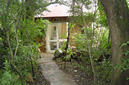 Forest Spa